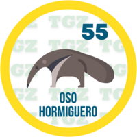 Gatazo — 55 OSOHRMIGUERO