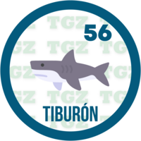 Gatazo — 56 TIBURON