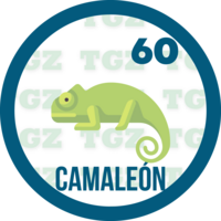 Gatazo — 60 CAMALEON
