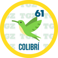 Gatazo — 61 COLIBRI