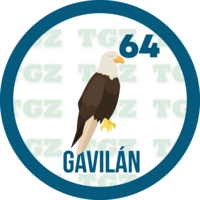 64 GAVILAN