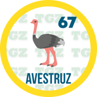 Gatazo — 67 AVESTRUZ