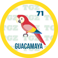 Gatazo — 71 GUACAMAYA