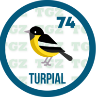 74 TURPIAL