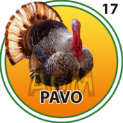 Granja Millonaria - Animalitos — 17 Pavo