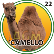 Granja Millonaria - Animalitos — 22 Camello