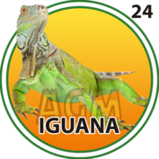 Granja Millonaria - Granjazo — 24 Iguana