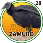 Granja Millonaria - Granjazo — 28 Zamuro