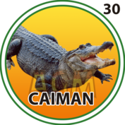 Granja Millonaria - Animalitos — 30 Caiman