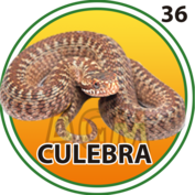 36 CULEBRA