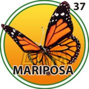 37 MARIPOSA