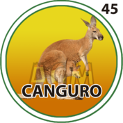 Granja Millonaria - Granjazo — 45 Canguro