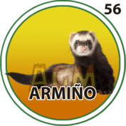 56 ARMIÑO