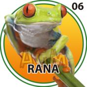 Granja Millonaria - Animalitos — 6 Rana
