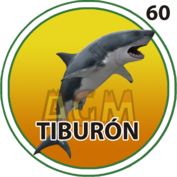 60 TIBURÓN