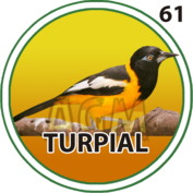 Granja Millonaria - Granjazo — 61 Turpial