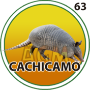 Granja Millonaria - Granjazo — 63 Cachicamo