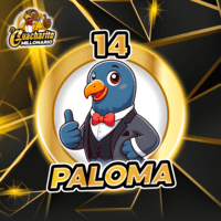 14 PALOMA