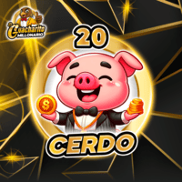 20 CERDO