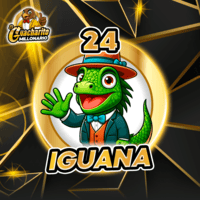 24 IGUANA