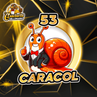 53 CARACOL