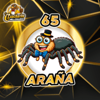 El Guacharito Millonario — 65 ARAÑA
