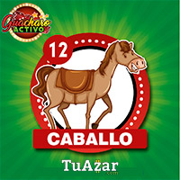 12 CABALLO