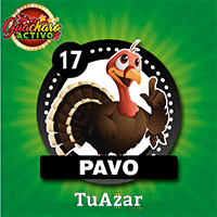 17 PAVO