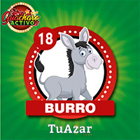 18 BURRO