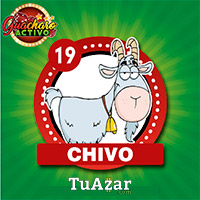 19 CHIVO
