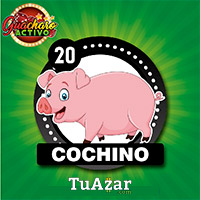 Guacharo Activo — 20 COCHINO