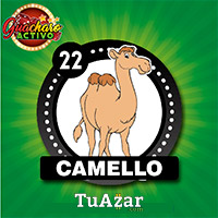 22 CAMELLO