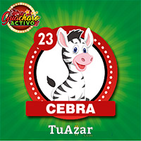 23 CEBRA