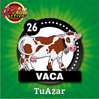 Guacharo Activo — 26 VACA