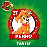 27 PERRO