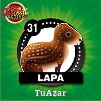 Guacharo Activo — 31 LAPA