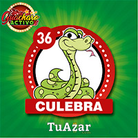 Guacharo Activo — 36 CULEBRA