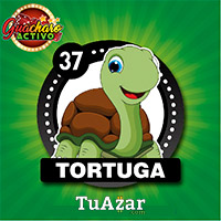 37 TORTUGA