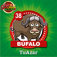 38 BÚFALO