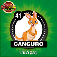 41 CANGURO