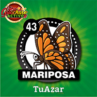 43 MARIPOSA