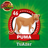 Guacharo Activo — 46 PUMA