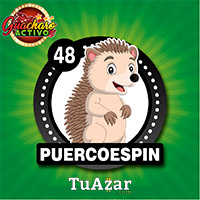 Guacharo Activo — 48 PUERCOESPÍN