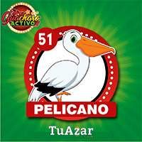 Guacharo Activo — 51 PELICANO