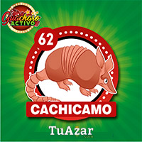 Guacharo Activo — 62 CACHICAMO