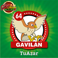 64 GAVILÁN
