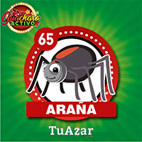 Guacharo Activo — 65 ARAÑA