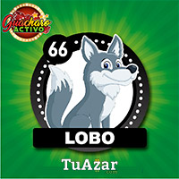 66 LOBO