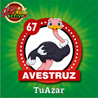 Guacharo Activo — 67 AVESTRUZ