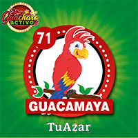 71 GUACAMAYA